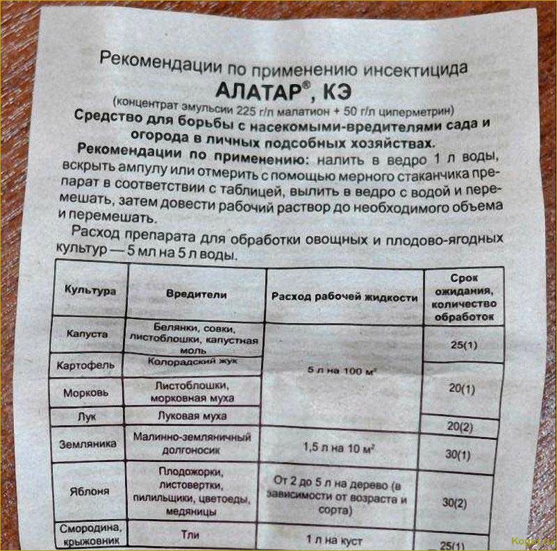 Как использовать таблетки Гамаир для различных видов растений: подробная инструкция