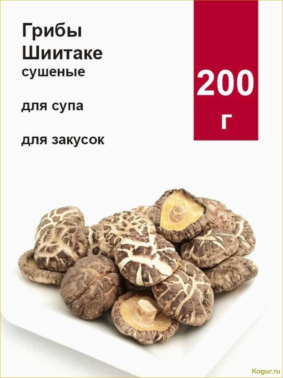 Изюминка восточной кухни — грибы шиитаке