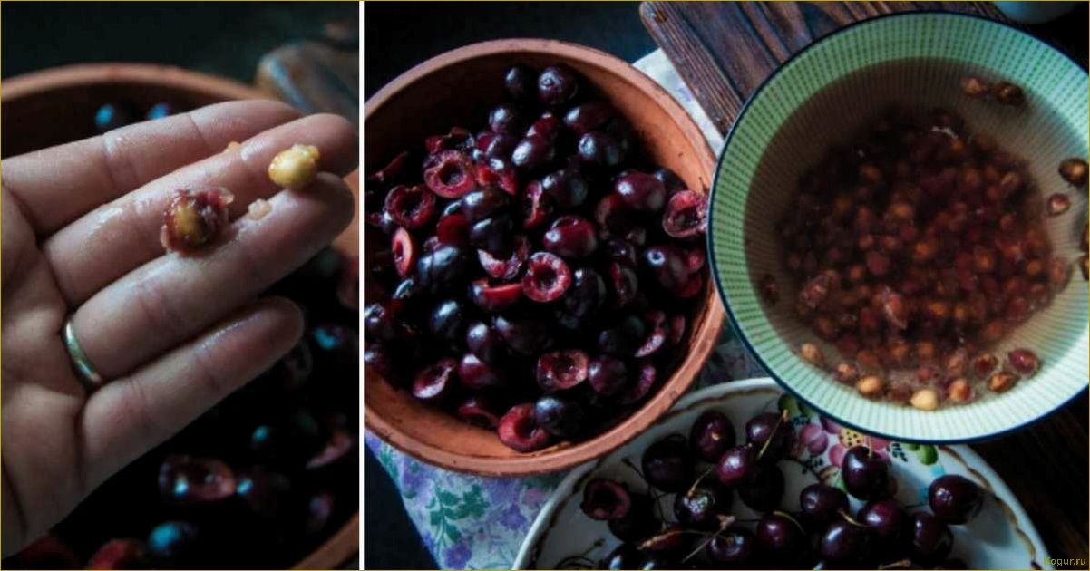 (успешно, вырастить, черешню, косточки, пошаговое) Как успешно вырастить черешню из косточки: пошаговое руководство