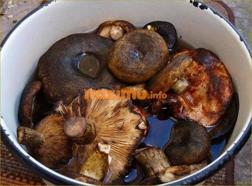 Как выглядят черные грузди и какой у них вкус