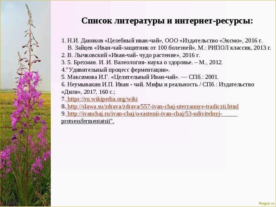 Как вырастить иван-чай — подробная инструкция для садоводов