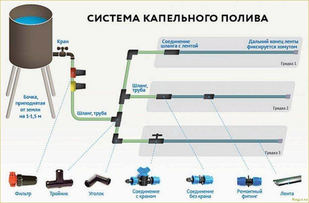 Лучший капельный полив в теплице: виды и особенности, как сделать своими руками и установить