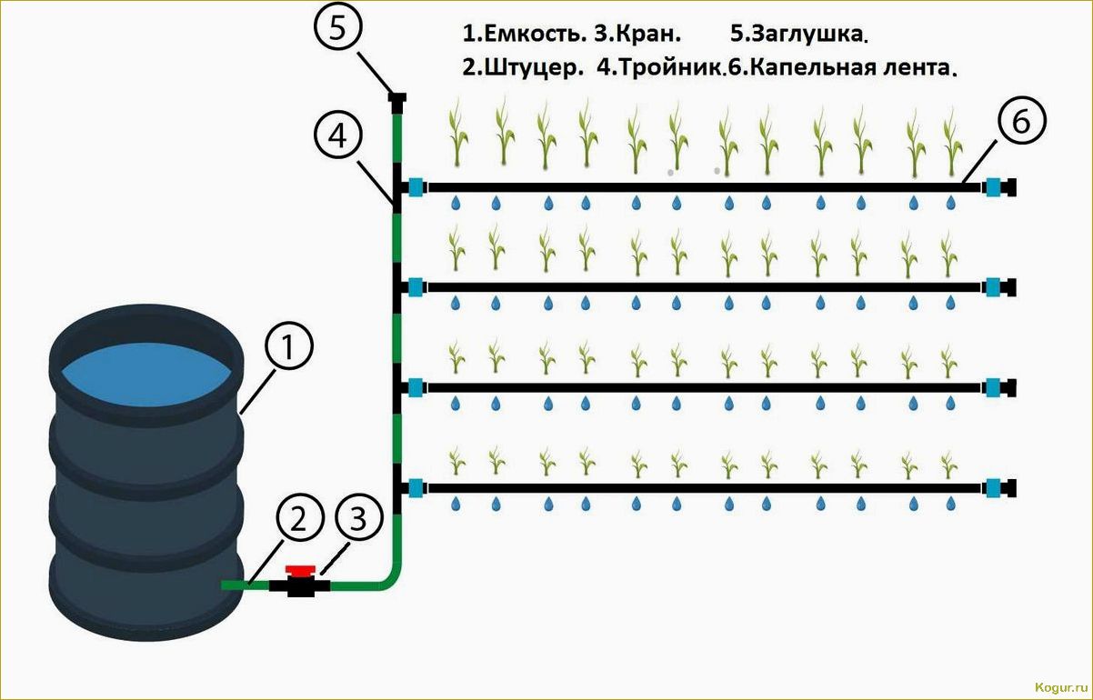 Лучший капельный полив в теплице: виды и особенности, как сделать своими руками и установить