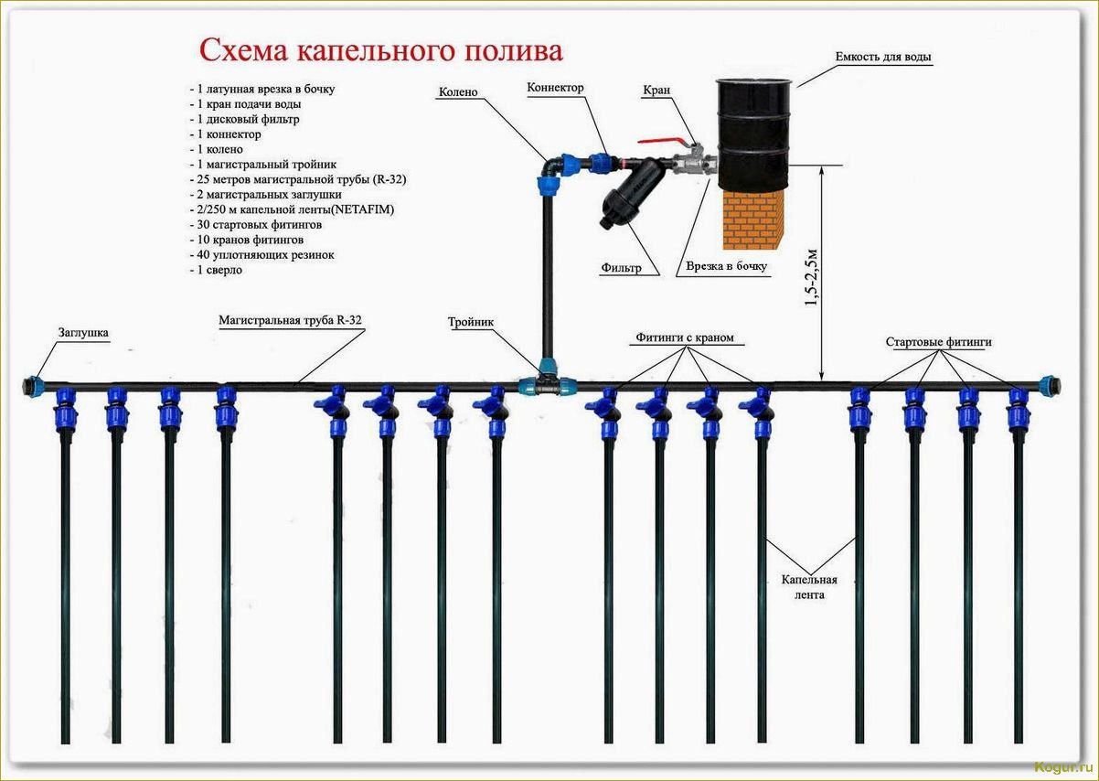 Лучший капельный полив в теплице: виды и особенности, как сделать своими руками и установить