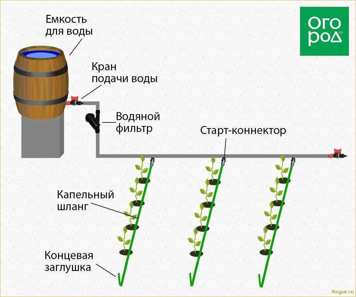 Лучший капельный полив в теплице: виды и особенности, как сделать своими руками и установить