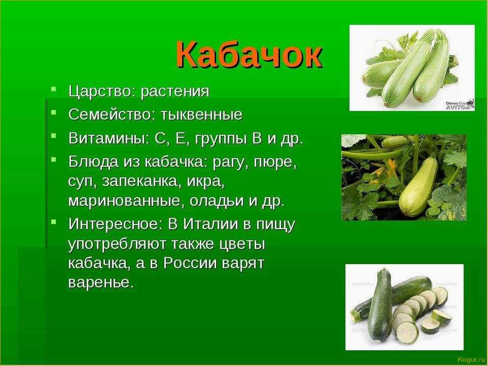 (польза, тыквы, здоровья, мужчин, женщин) В чем польза тыквы для здоровья мужчин, женщин и детей