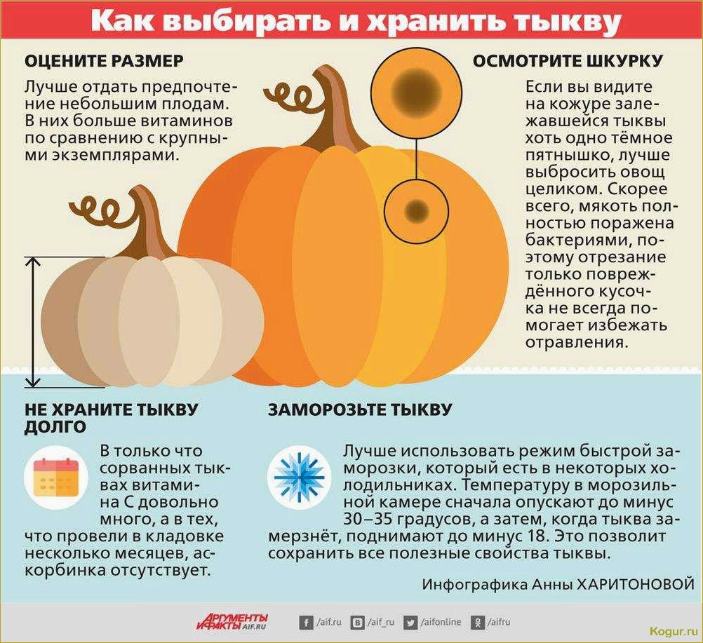 (польза, тыквы, здоровья, мужчин, женщин) В чем польза тыквы для здоровья мужчин, женщин и детей