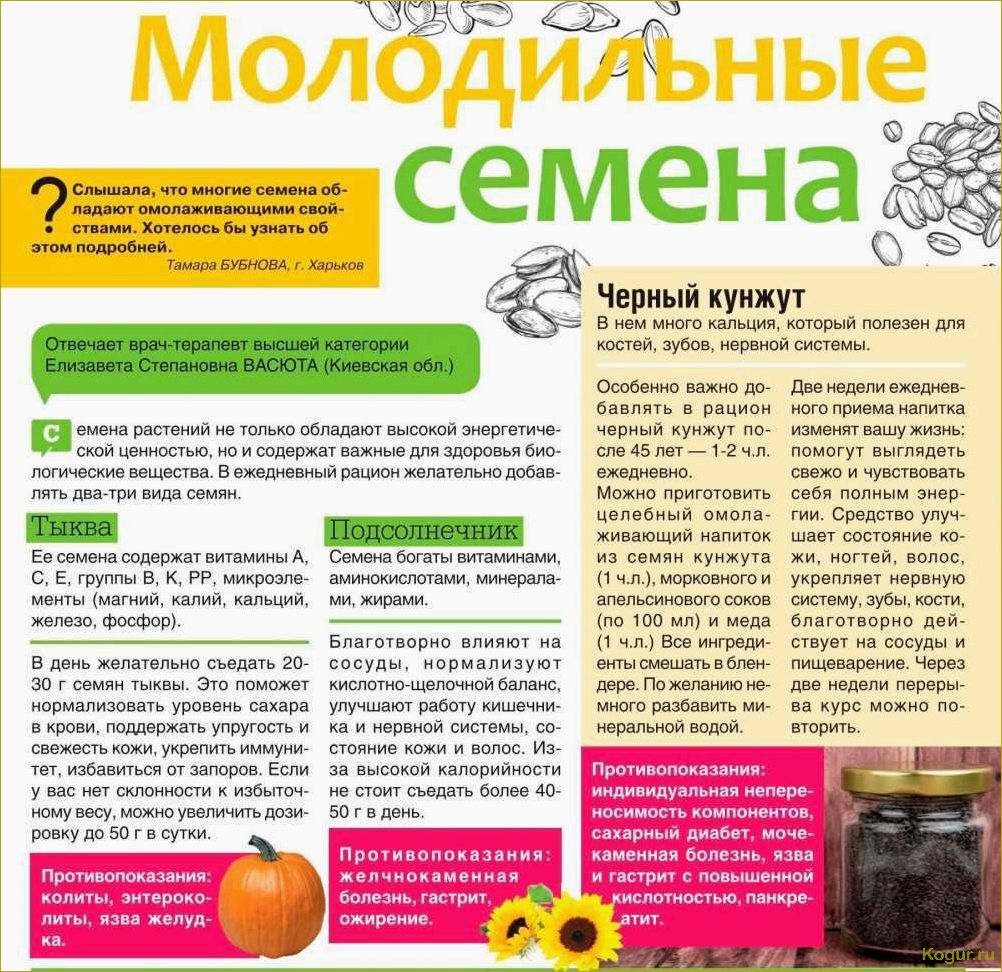 (польза, тыквы, здоровья, мужчин, женщин) В чем польза тыквы для здоровья мужчин, женщин и детей