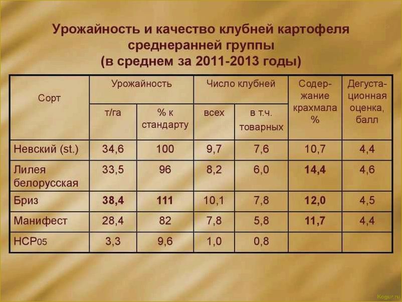 Как достичь богатого урожая картофеля сорта Невский: секреты успеха