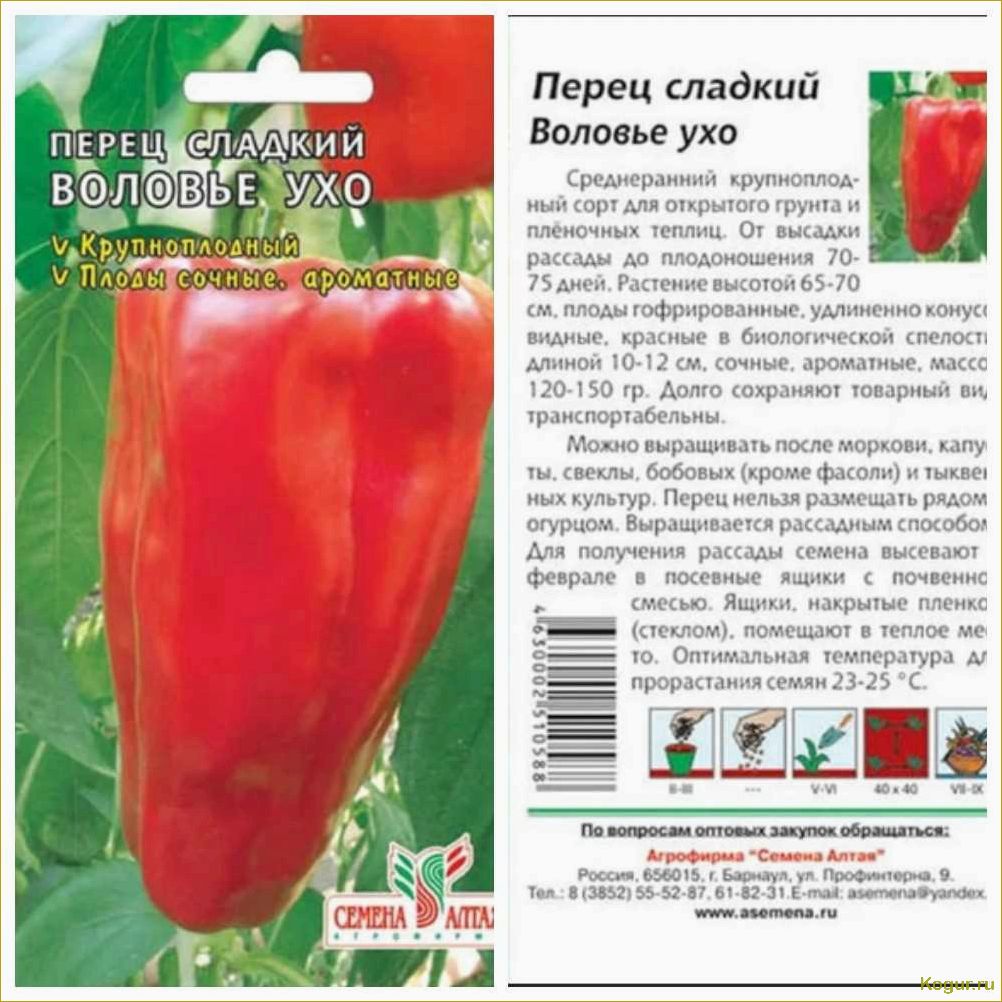 Воловье ухо: секреты популярности болгарского перца
