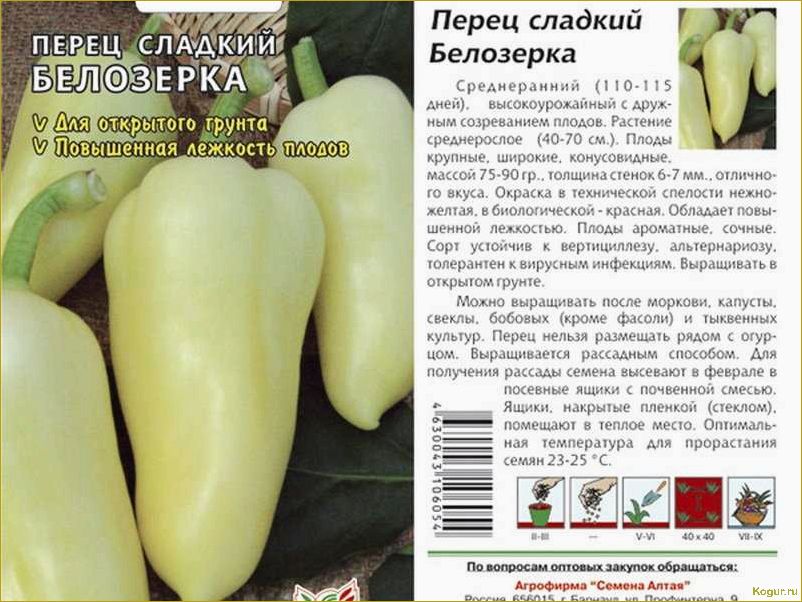 Воловье ухо: секреты популярности болгарского перца