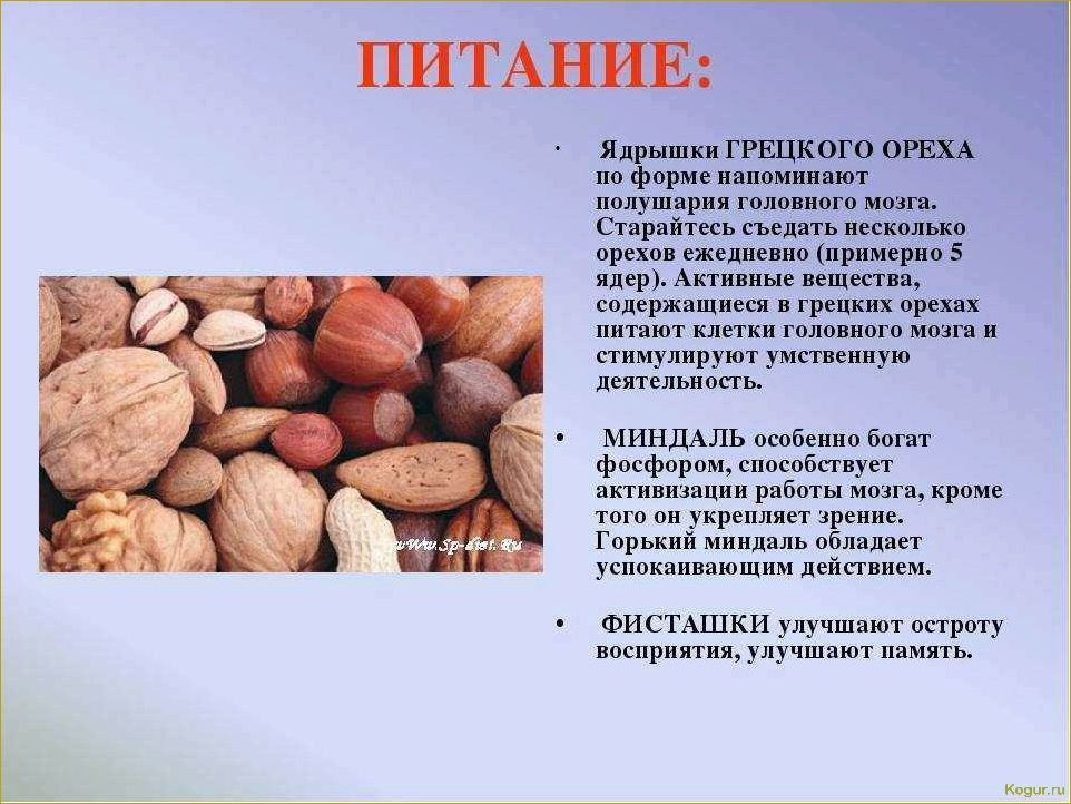 (орех, пекан, полезные, свойства, правила) Орех пекан: полезные свойства и правила употребления
