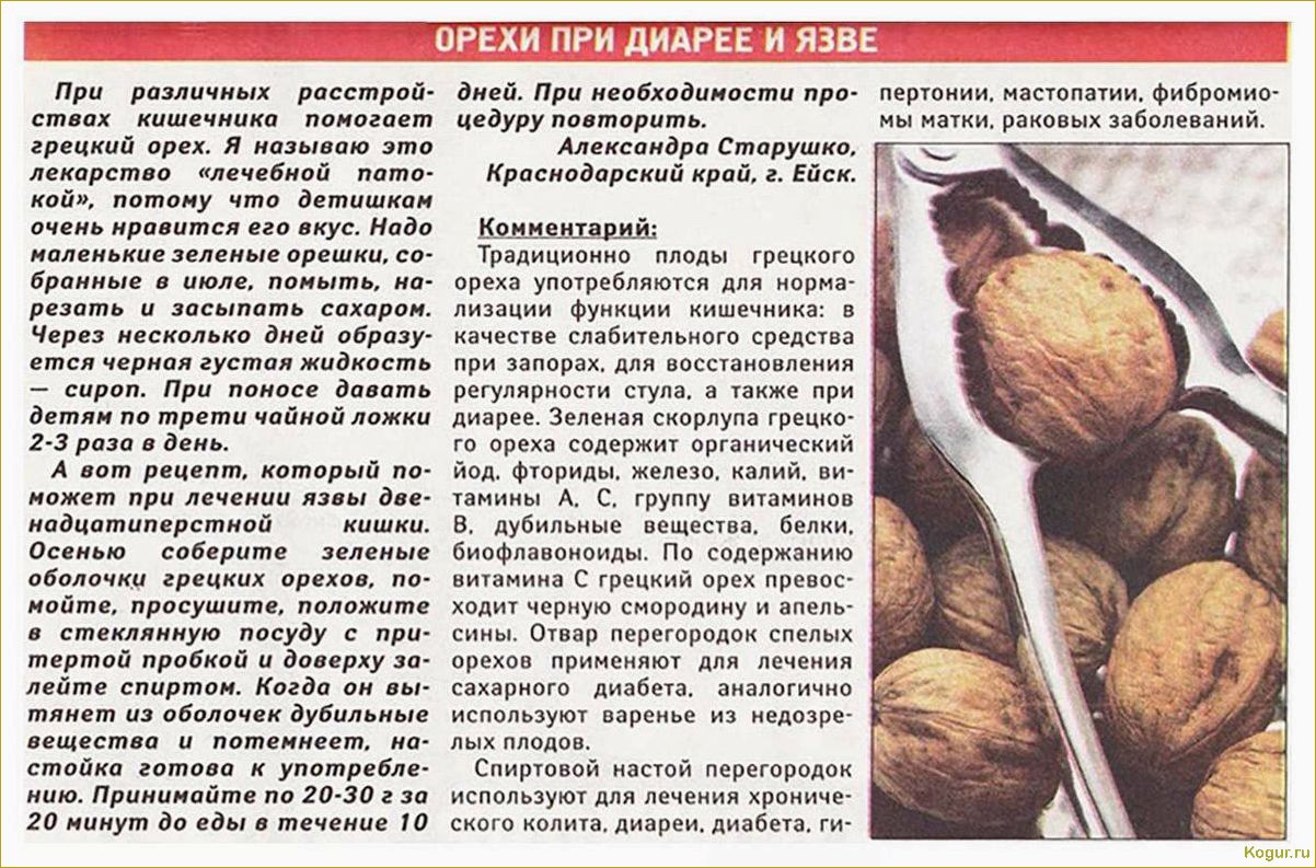 (орех, пекан, полезные, свойства, правила) Орех пекан: полезные свойства и правила употребления