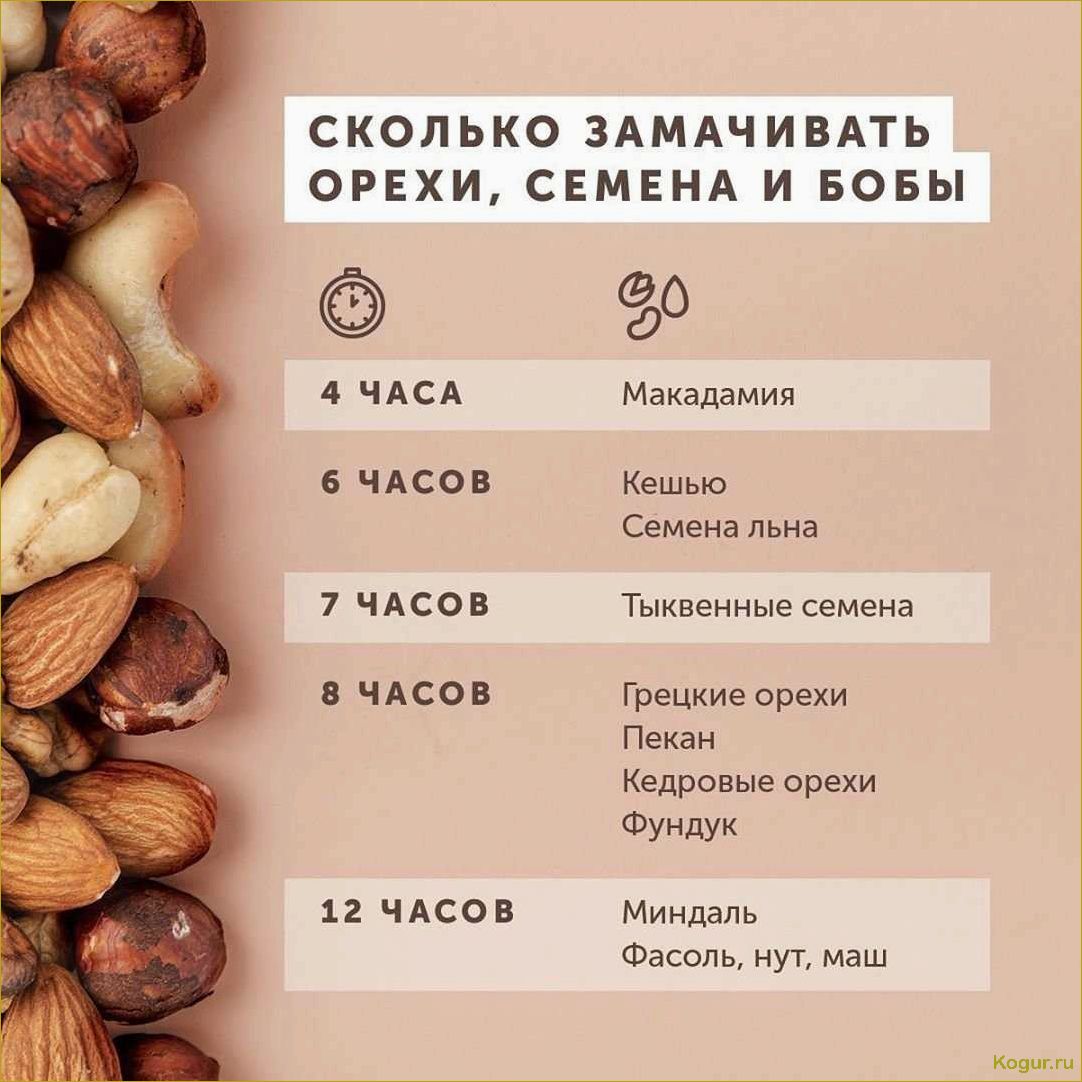 (орех, пекан, полезные, свойства, правила) Орех пекан: полезные свойства и правила употребления