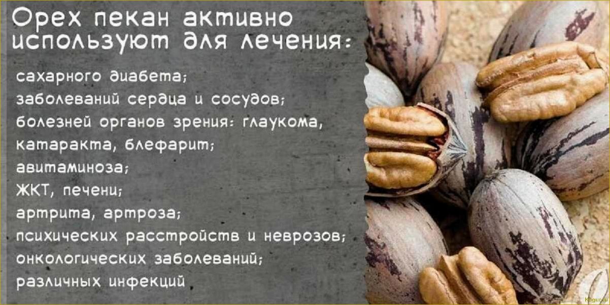 (орех, пекан, полезные, свойства, правила) Орех пекан: полезные свойства и правила употребления