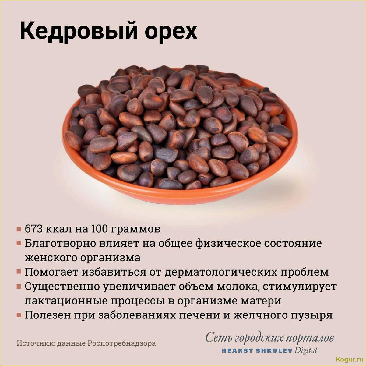 (орех, пекан, полезные, свойства, правила) Орех пекан: полезные свойства и правила употребления