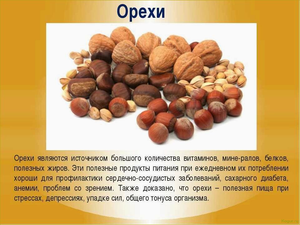 (орех, пекан, полезные, свойства, правила) Орех пекан: полезные свойства и правила употребления