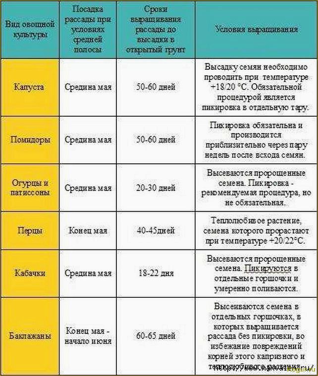 Ключевые задачи для января: уход за теплицей и грядками
