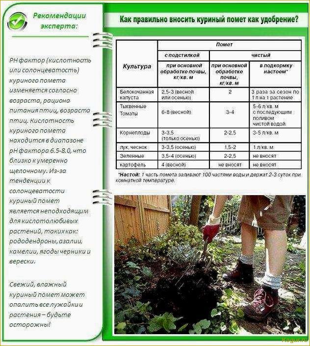 Ключевые задачи для января: уход за теплицей и грядками