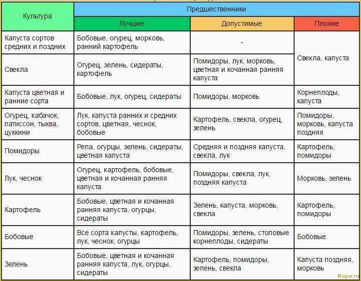 Ключевые задачи для января: уход за теплицей и грядками