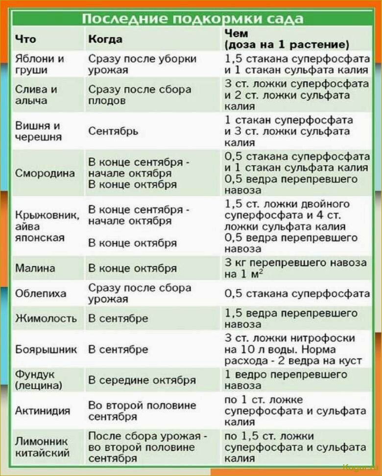 Ключевые задачи для января: уход за теплицей и грядками