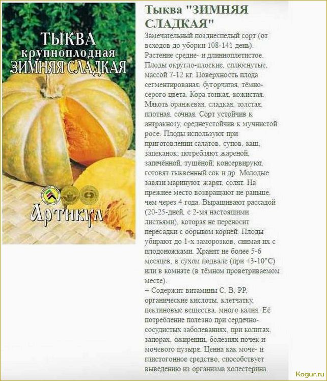 (разнообразие, тыкв, разбиение, виды, сорта) Разнообразие тыкв: разбиение на виды и сорта, подробное описание и иллюстрации