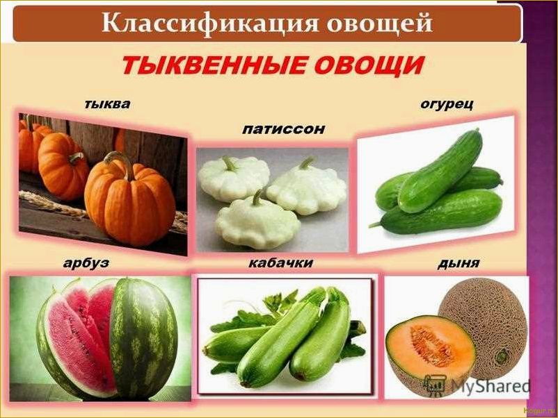 (разнообразие, тыкв, разбиение, виды, сорта) Разнообразие тыкв: разбиение на виды и сорта, подробное описание и иллюстрации