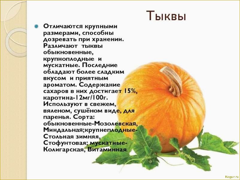 (разнообразие, тыкв, разбиение, виды, сорта) Разнообразие тыкв: разбиение на виды и сорта, подробное описание и иллюстрации