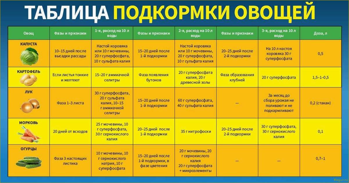 (виды, капусты, большой, выбор, огородников) Виды капусты — большой выбор для огородников и даже цветоводов