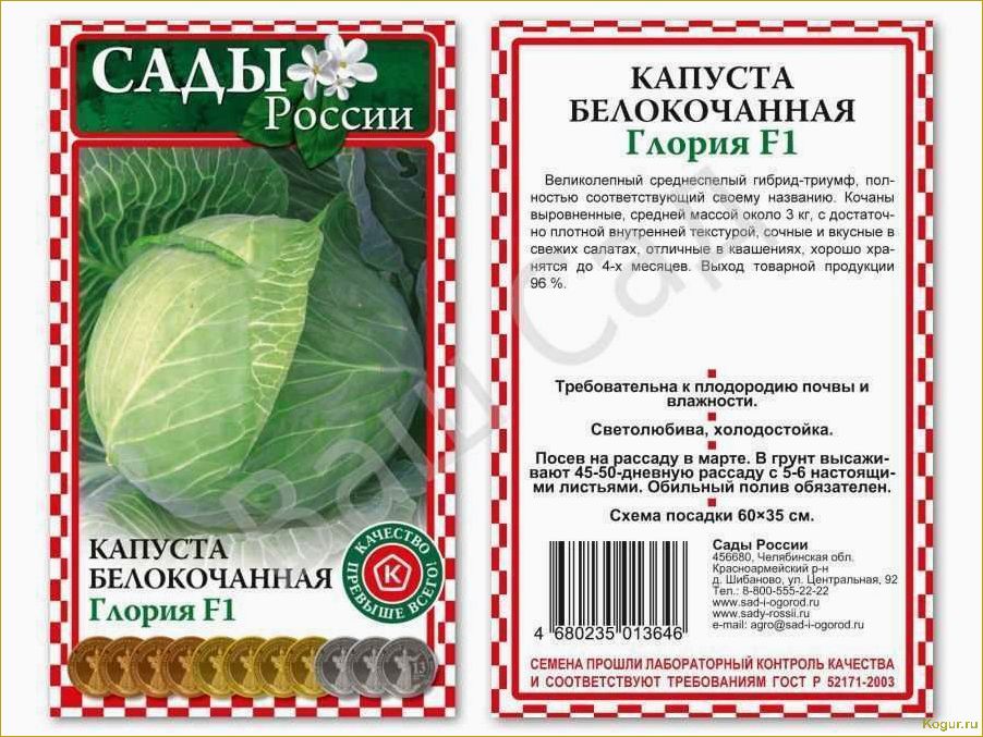 (виды, капусты, большой, выбор, огородников) Виды капусты — большой выбор для огородников и даже цветоводов
