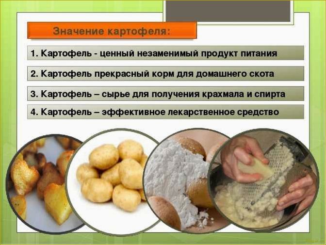Виды картофеля: известные, полезные и  не очень