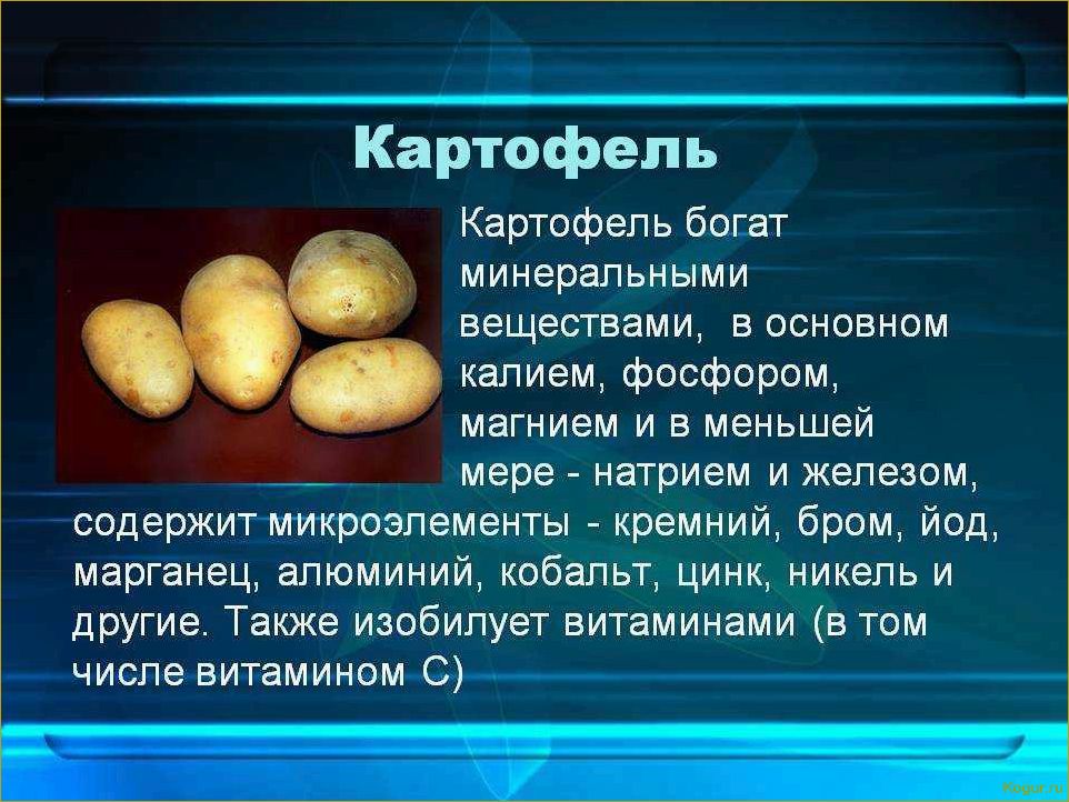Виды картофеля: известные, полезные и  не очень