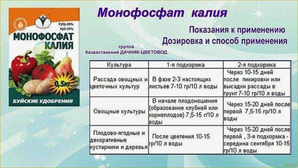 (внекорневая, подкормка, картофеля, советы, рекомендации) Внекорневая подкормка картофеля: советы и рекомендации