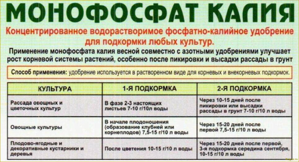 (внекорневая, подкормка, картофеля, советы, рекомендации) Внекорневая подкормка картофеля: советы и рекомендации