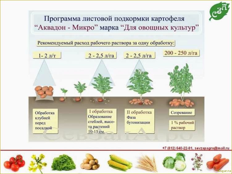 (внекорневая, подкормка, картофеля, советы, рекомендации) Внекорневая подкормка картофеля: советы и рекомендации