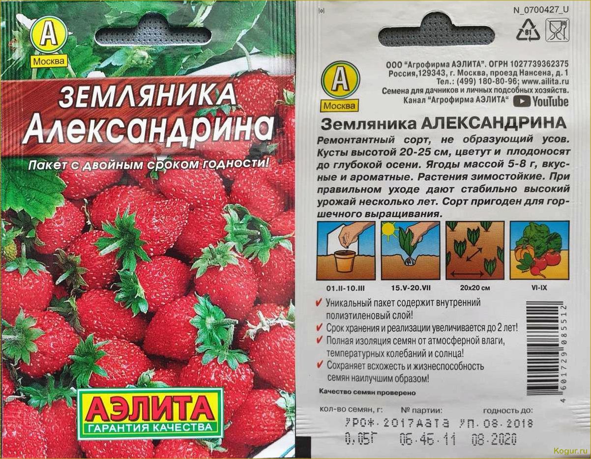 Возможно и в вашем саду найдется место для земляники сорта Александрина