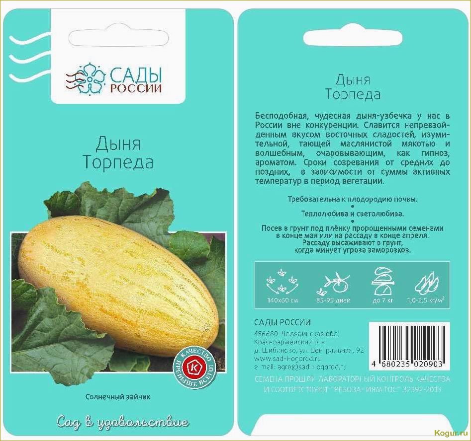 Вкусная и сочная дыня Кассаба, которая происходит из Малой и Средней Азии