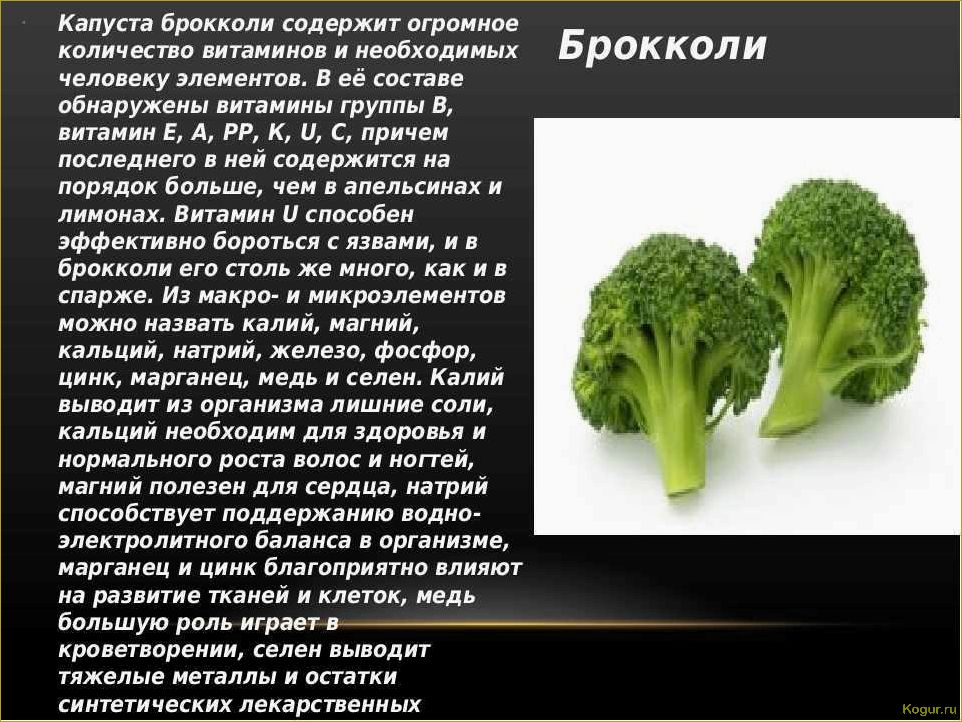 (выращивание, капусты, кале, полезные, свойства) Выращивание капусты Кале и ее полезные свойства