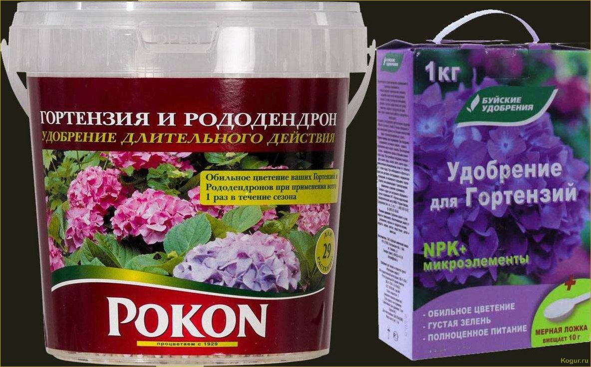 (правильно, подкормить, рододендрон, весной, успешного) Как правильно подкормить рододендрон весной для успешного развития и обильного цветения