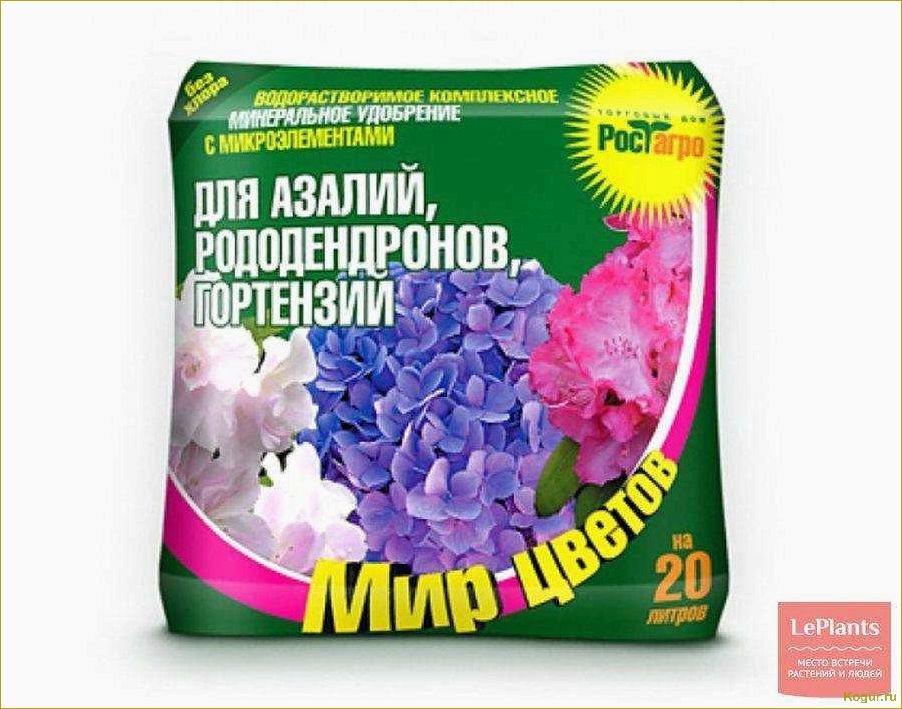 (правильно, подкормить, рододендрон, весной, успешного) Как правильно подкормить рододендрон весной для успешного развития и обильного цветения