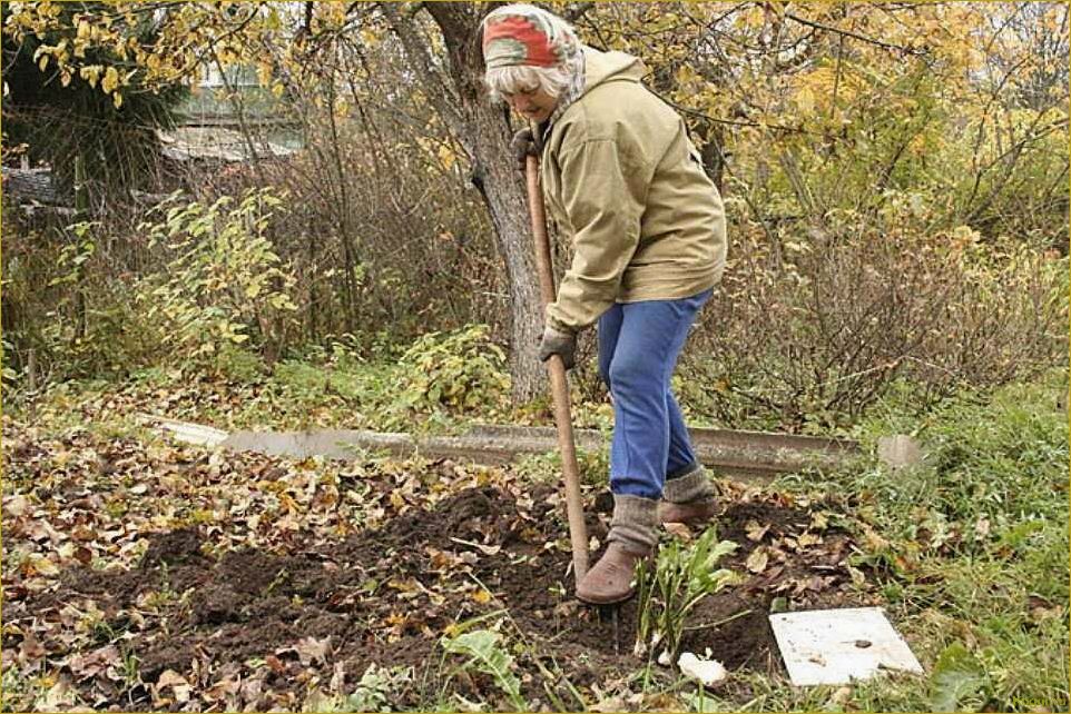 Октябрьские заботы о дачных грядках: подготовка к зиме и сохранение урожая