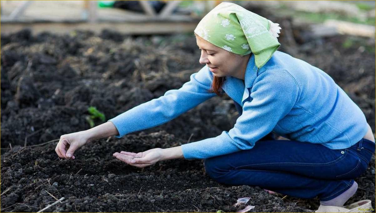 Октябрьские заботы о дачных грядках: подготовка к зиме и сохранение урожая