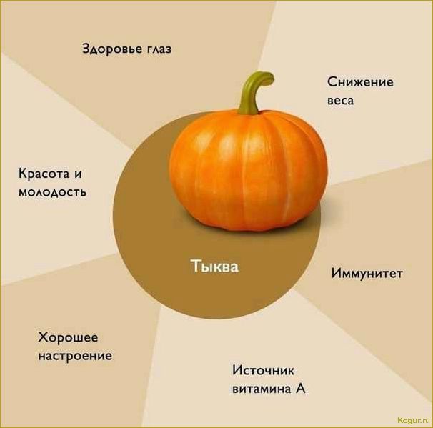 (исследуем, свойства, пользу, тыквенных, семян) Исследуем свойства и пользу тыквенных семян: знакомство поближе.