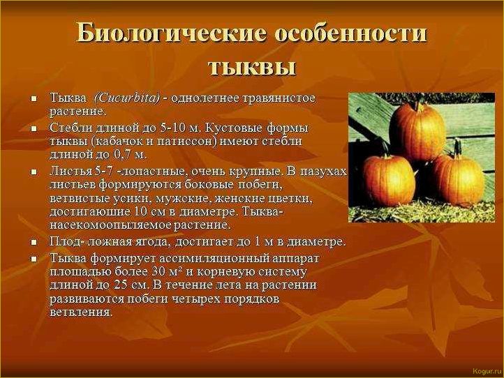 (исследуем, свойства, пользу, тыквенных, семян) Исследуем свойства и пользу тыквенных семян: знакомство поближе.