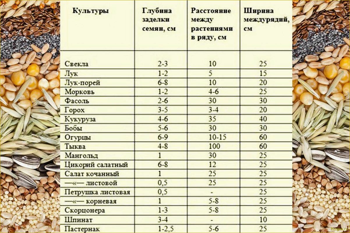 (исследуем, свойства, пользу, тыквенных, семян) Исследуем свойства и пользу тыквенных семян: знакомство поближе.