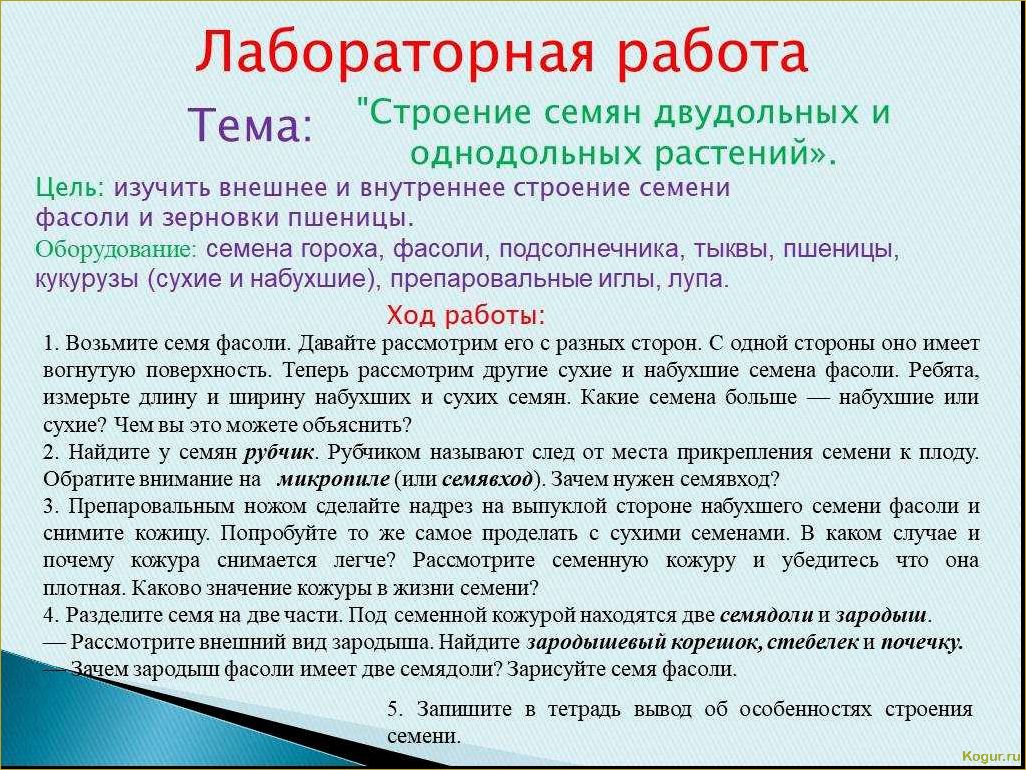(исследуем, свойства, пользу, тыквенных, семян) Исследуем свойства и пользу тыквенных семян: знакомство поближе.