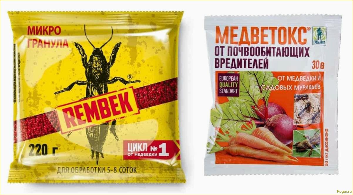 Борьба с медведкой: эффективные народные средства