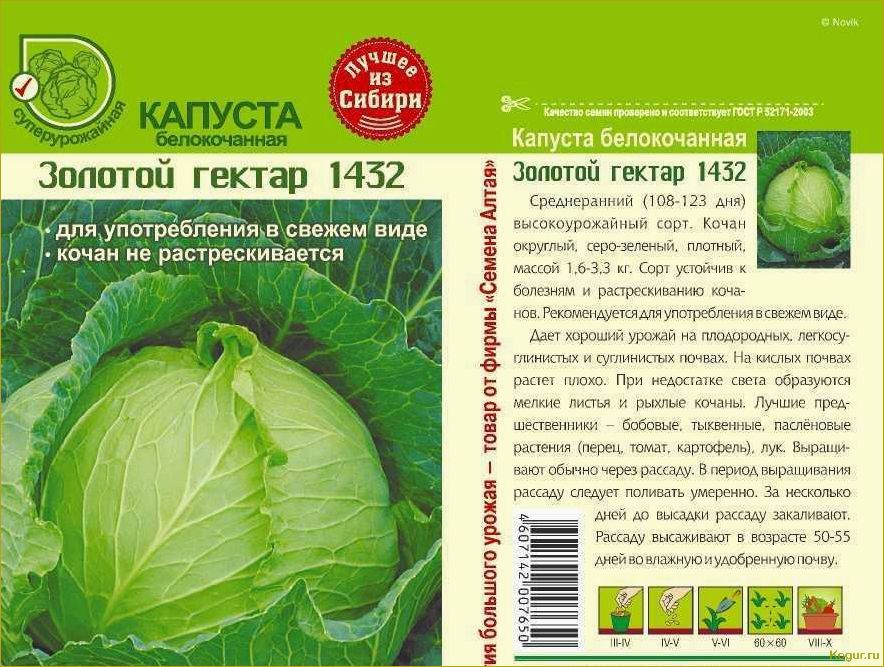 (капуста, подарок, классические, сорта, проверенное) Капуста Подарок: классические сорта и проверенное качество