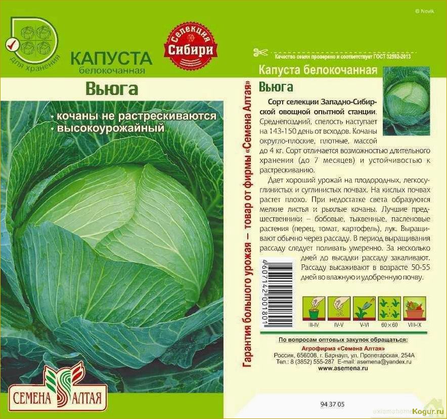 (капуста, подарок, классические, сорта, проверенное) Капуста Подарок: классические сорта и проверенное качество