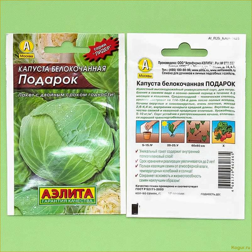 (капуста, подарок, классические, сорта, проверенное) Капуста Подарок: классические сорта и проверенное качество